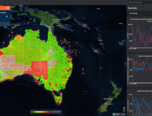 Behind the dashboards – making data useful