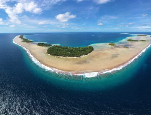Unifying health data across the four Federated States of Micronesia