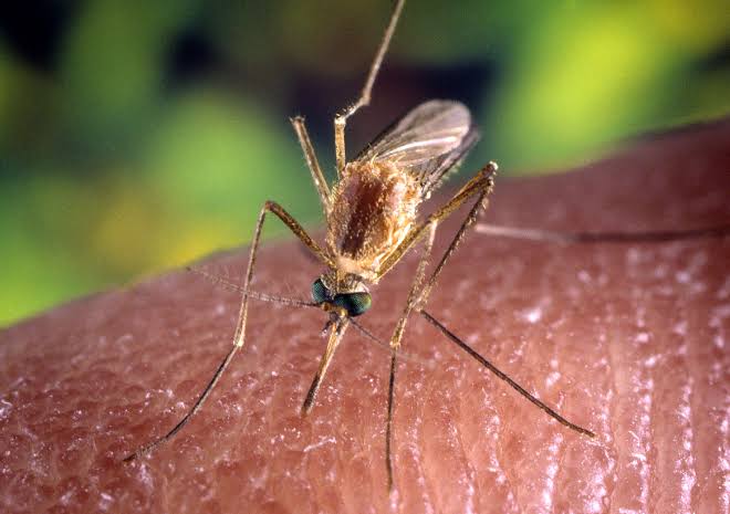 AI can support earlier outbreak detection